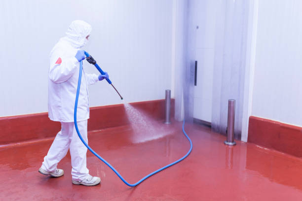 Best House Exterior Washing  in Altamonte Springs, FL