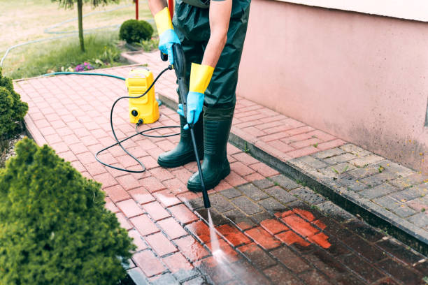 Best Driveway Pressure Washing  in Altamonte Springs, FL