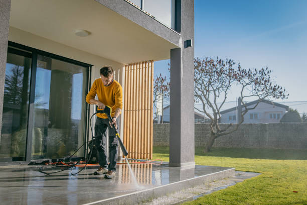 Best Graffiti Removal  in Altamonte Springs, FL